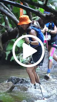 BIB:  <button type="button" onclick="openModal(27809166)" class="btn btn-primary btn-sm float-right" data-toggle="modal" data-target=".modal-high-quality">
                <i class="fa fa-download"></i> Download
                </button>